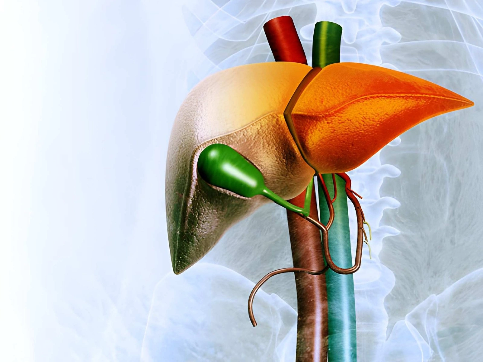 Gall Bladder Cancer Treatment